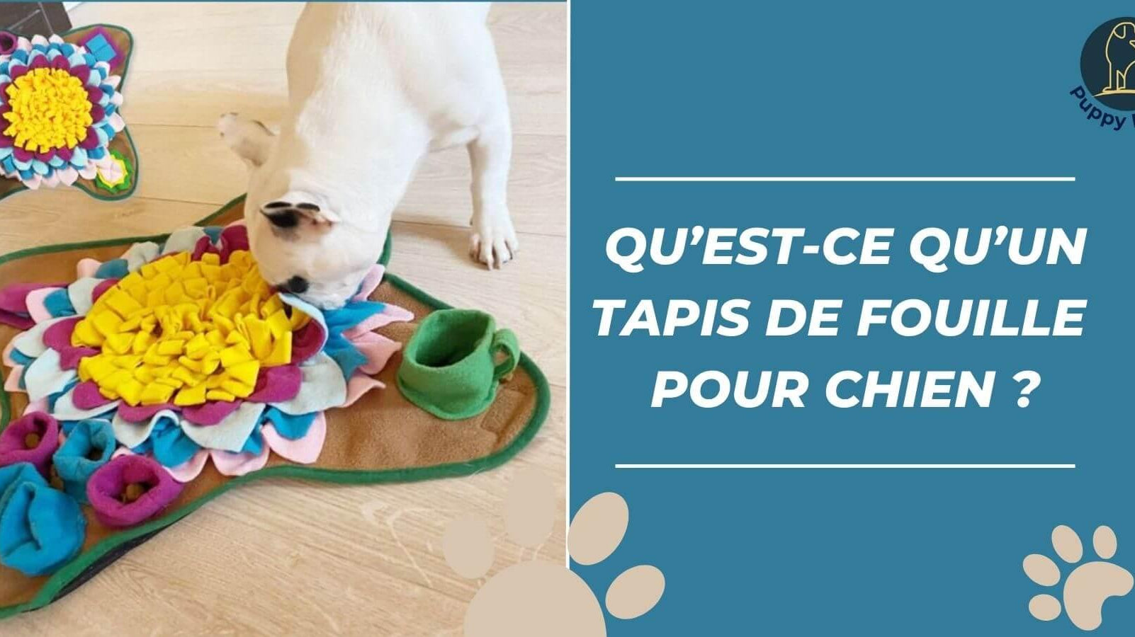 C'est quoi un tapis de fouille pour chien ? - Puppy Pacha