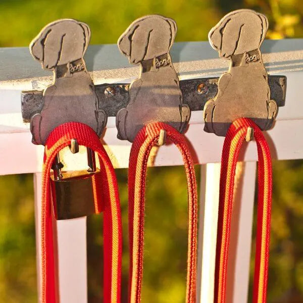 Laisse pour Chien - Puppy Pacha