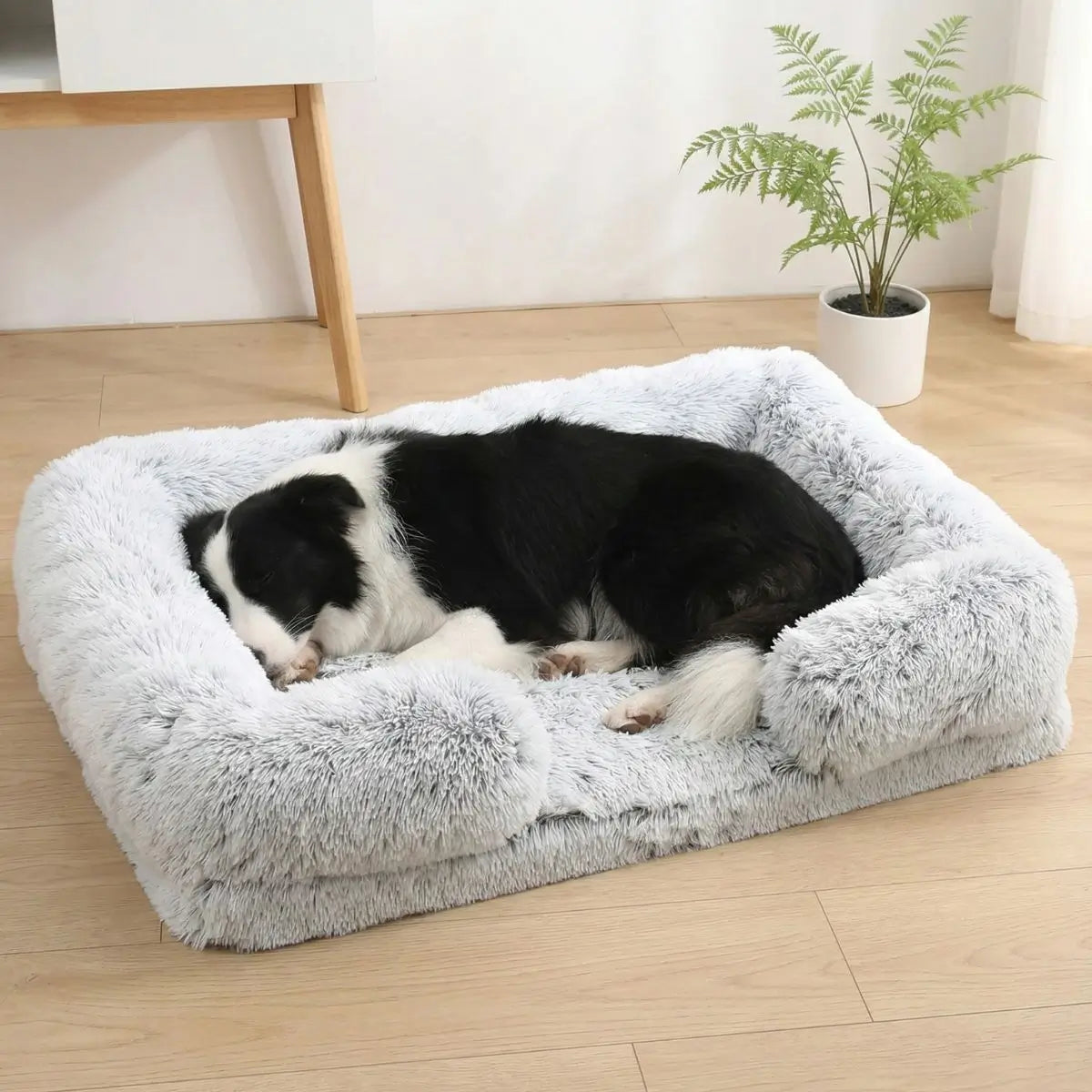 Panier Chien - Puppy Pacha