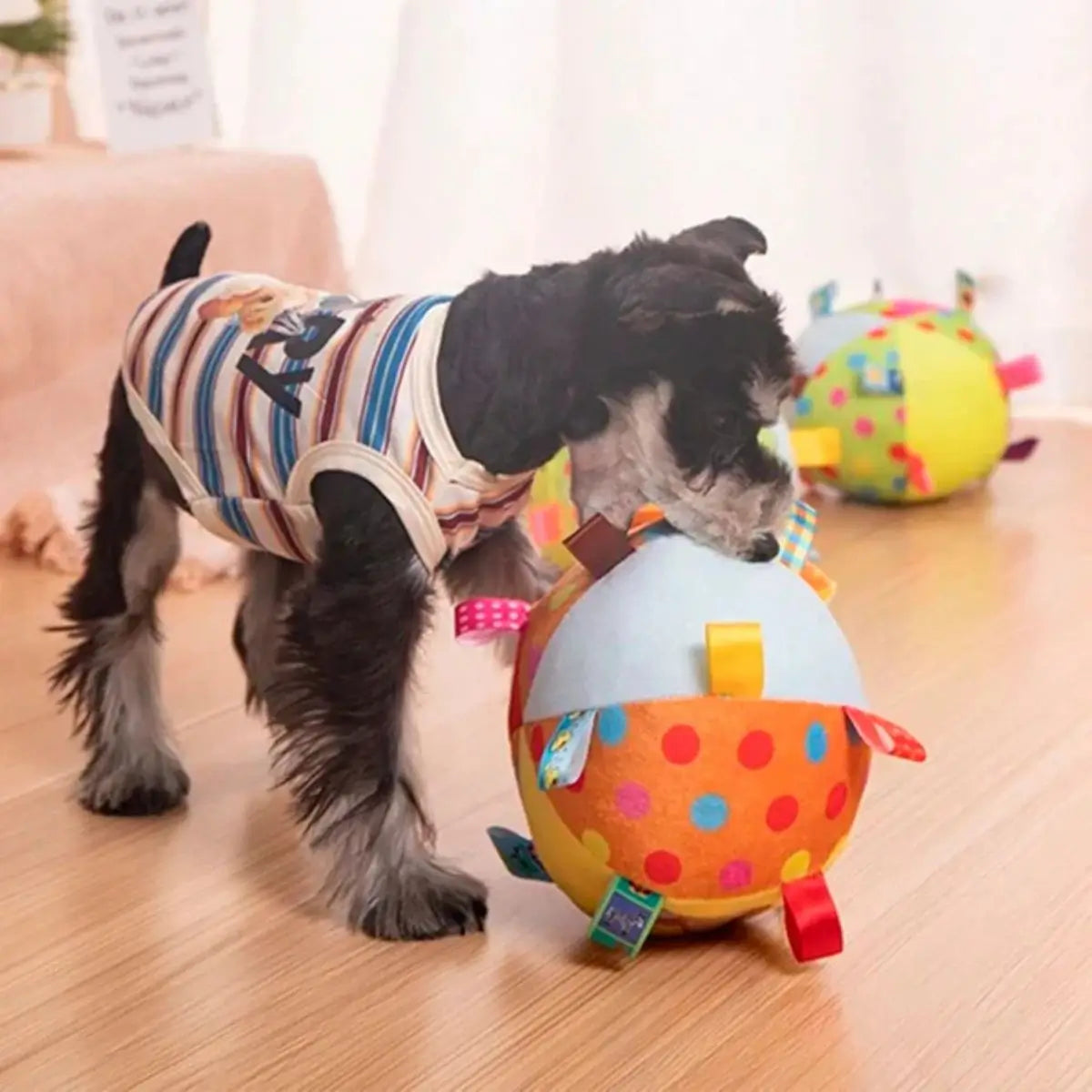 Jeu intérieur avec balle chien en peluche PachaBall™ anti-stress