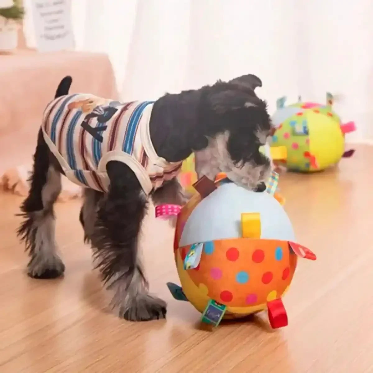 Jeu intérieur avec balle chien en peluche PachaBall™ anti-stress