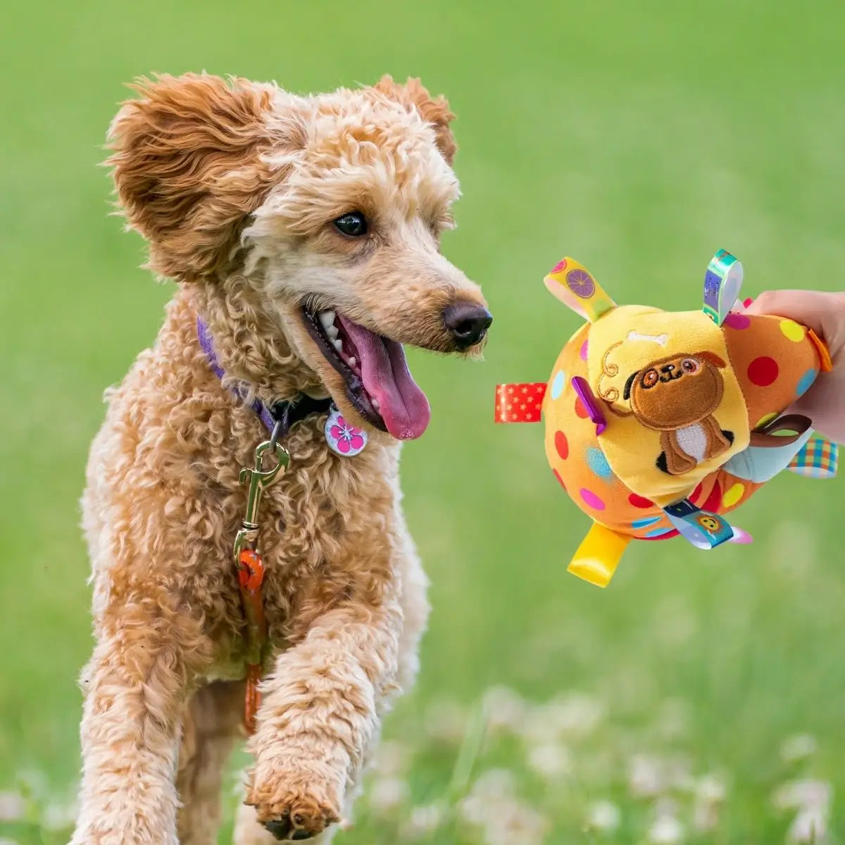 Balle chien en peluche PachaBall™ adaptée aux chiots et petits chiens
