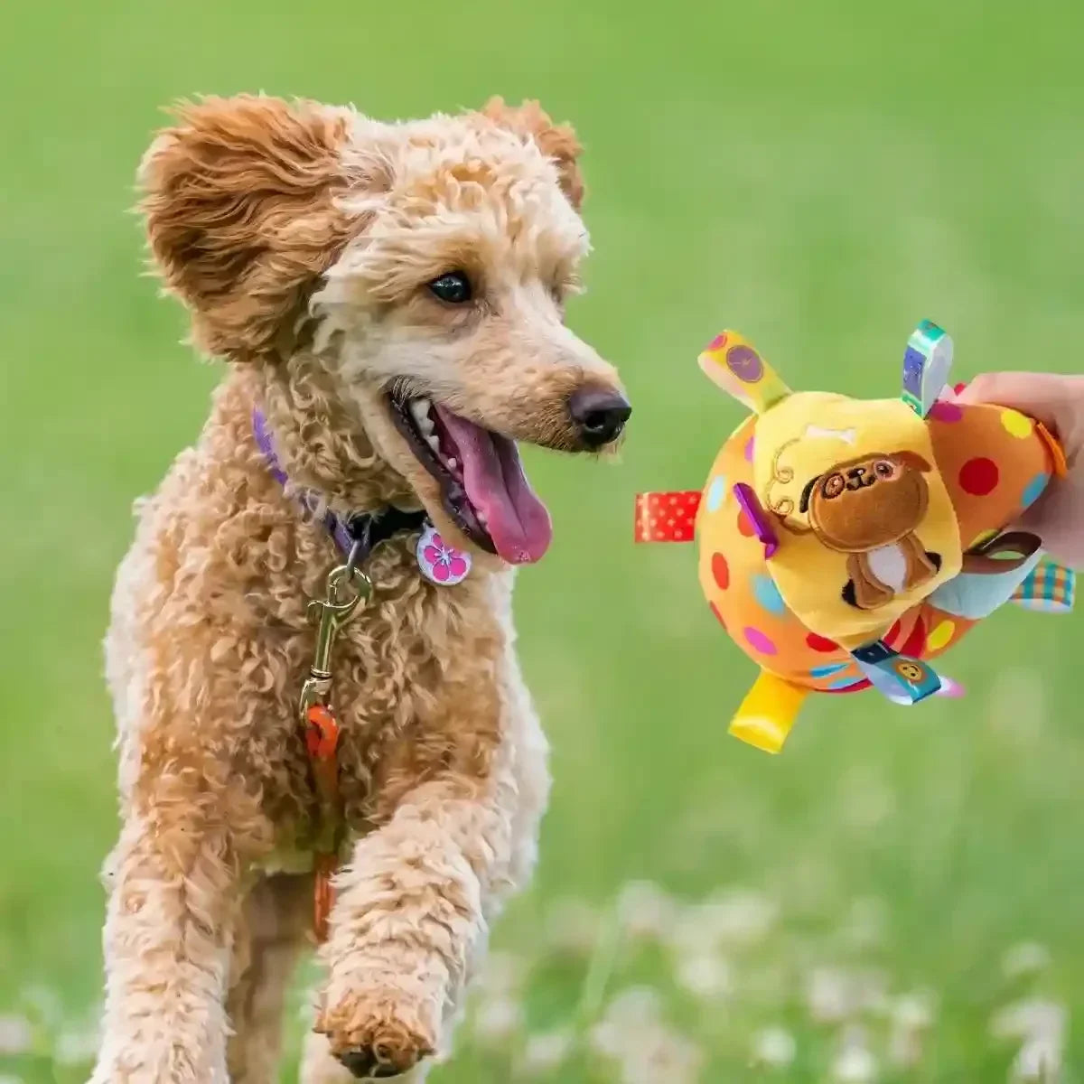 Balle chien en peluche PachaBall™ adaptée aux chiots et petits chiens