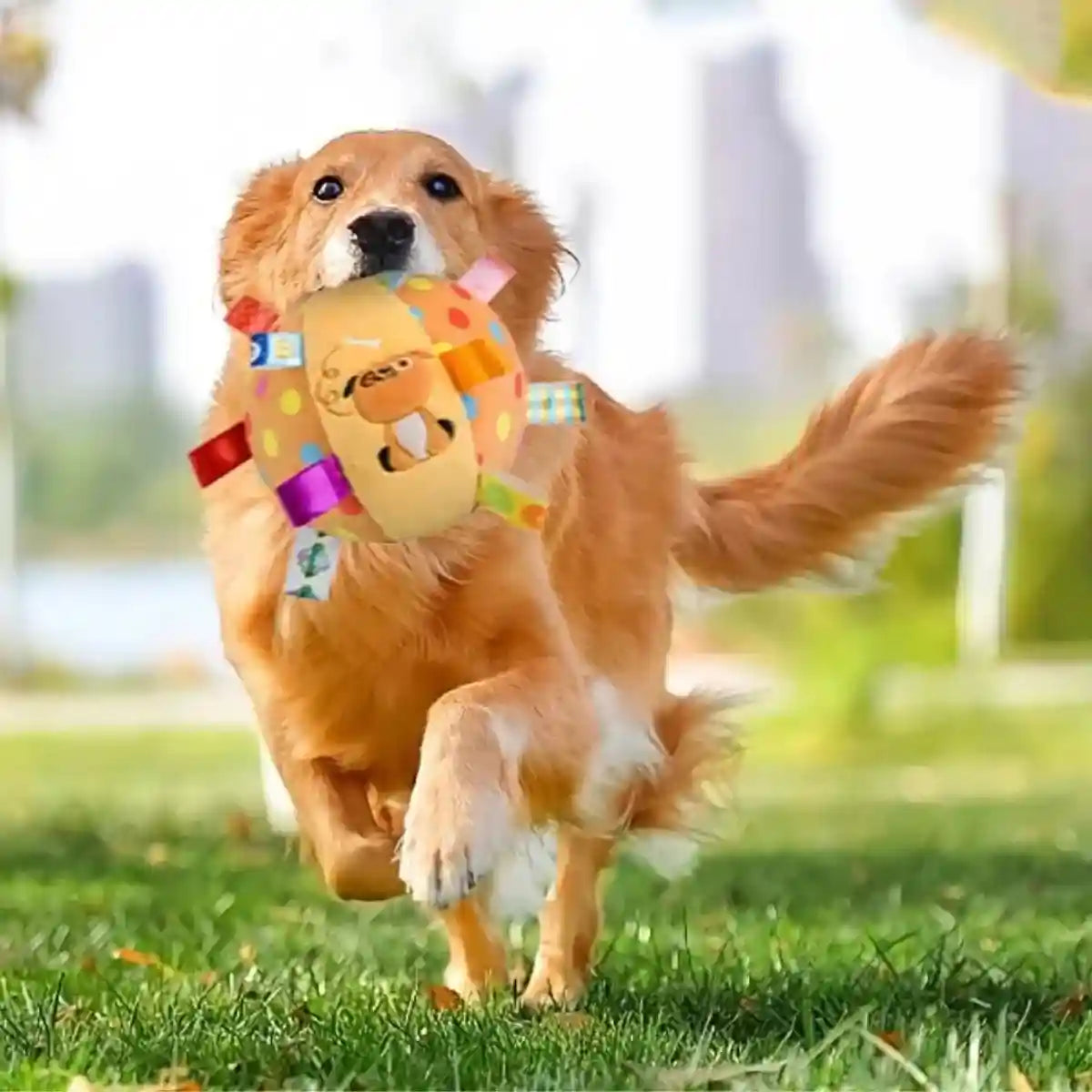 Chien jouant en extérieur avec la balle chien en peluche PachaBall™