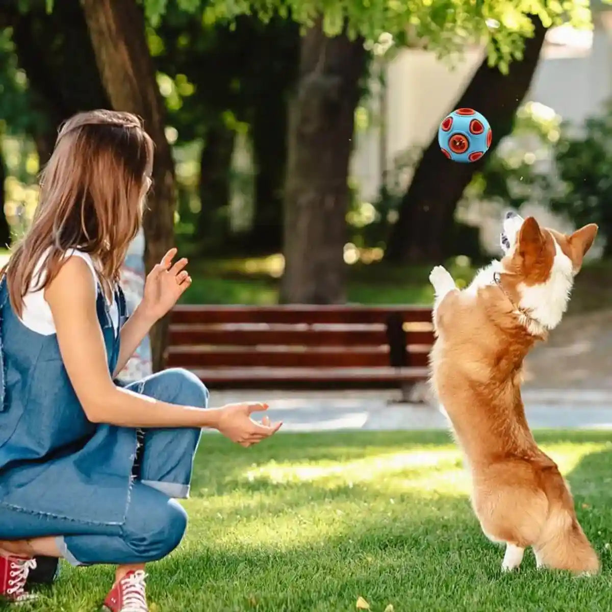 Balle pour chien jouant dans parc
