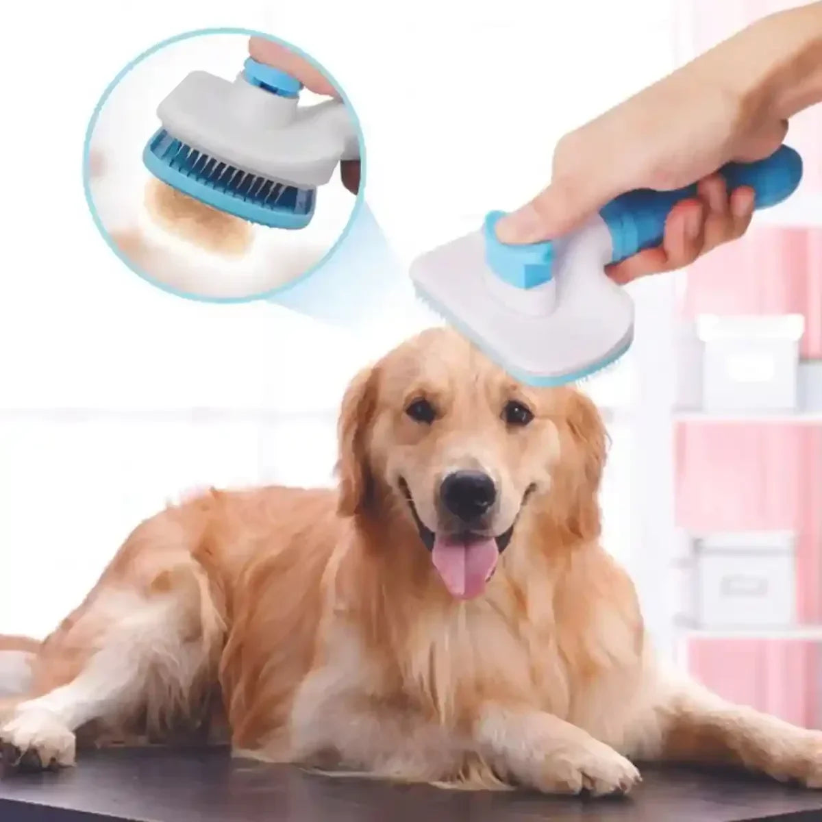 Carde pour chien Oneclic™ anti-poils autonettoyante