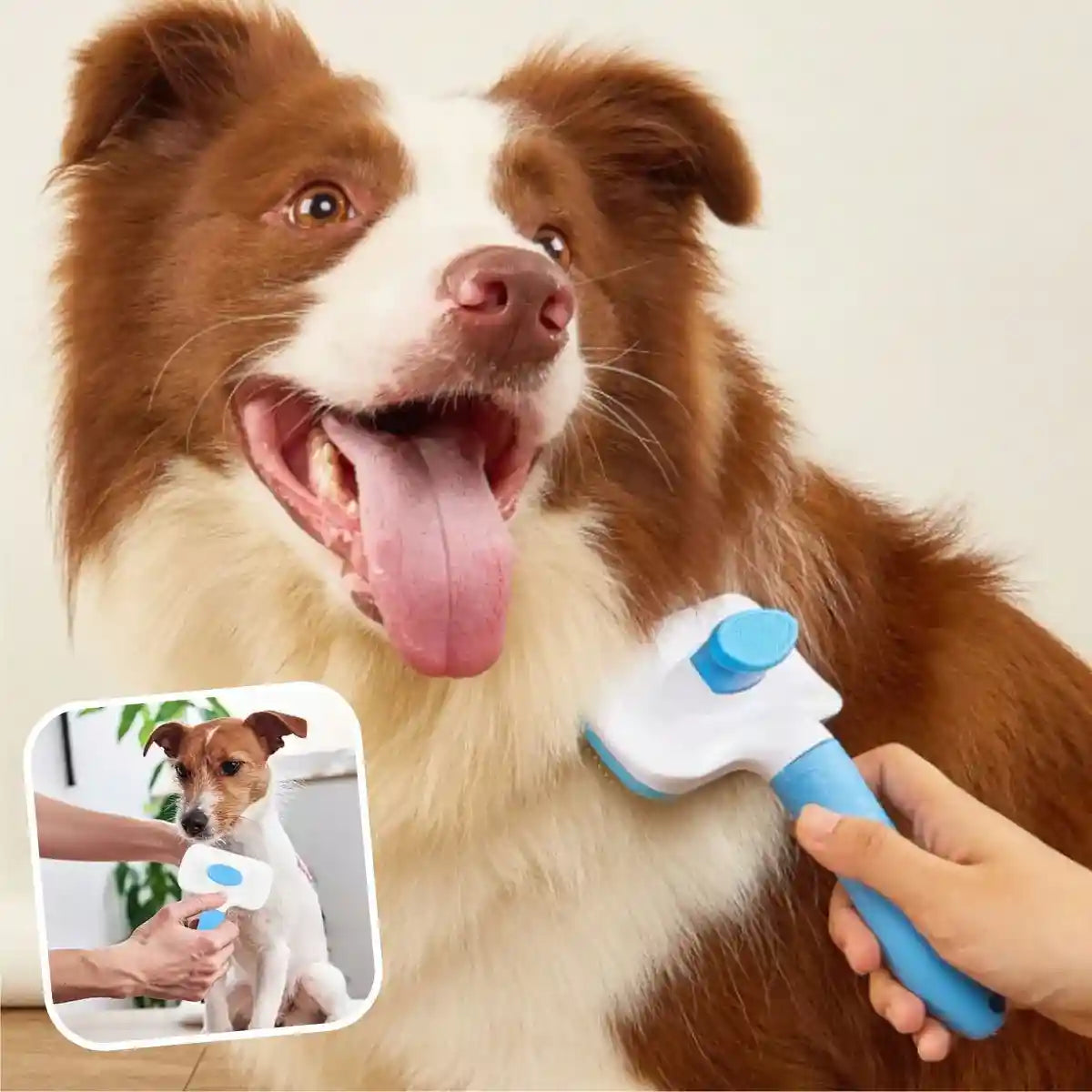 Brosse carde pour chien bleue OneClic⹠à bouton éjecteur