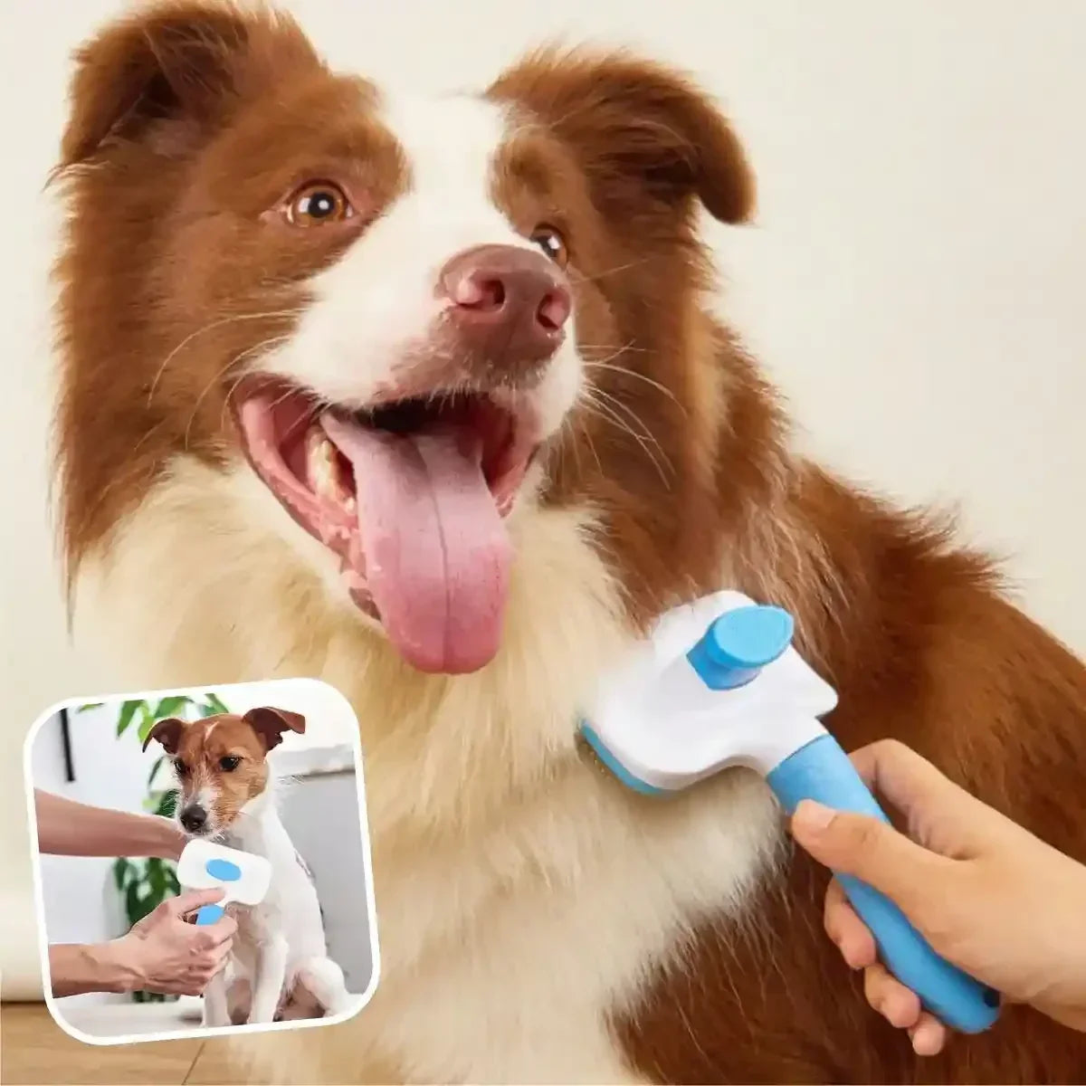 Brosse carde pour chien bleue OneClic™ à bouton éjecteur