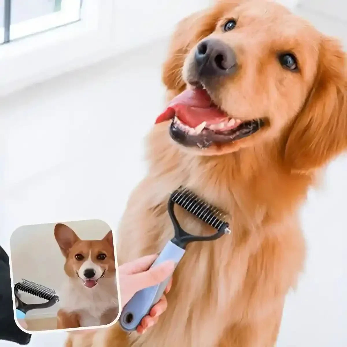 Brosse chien poil long DémêlPro en couleur bleu, idéale pour démêler les poils épais.