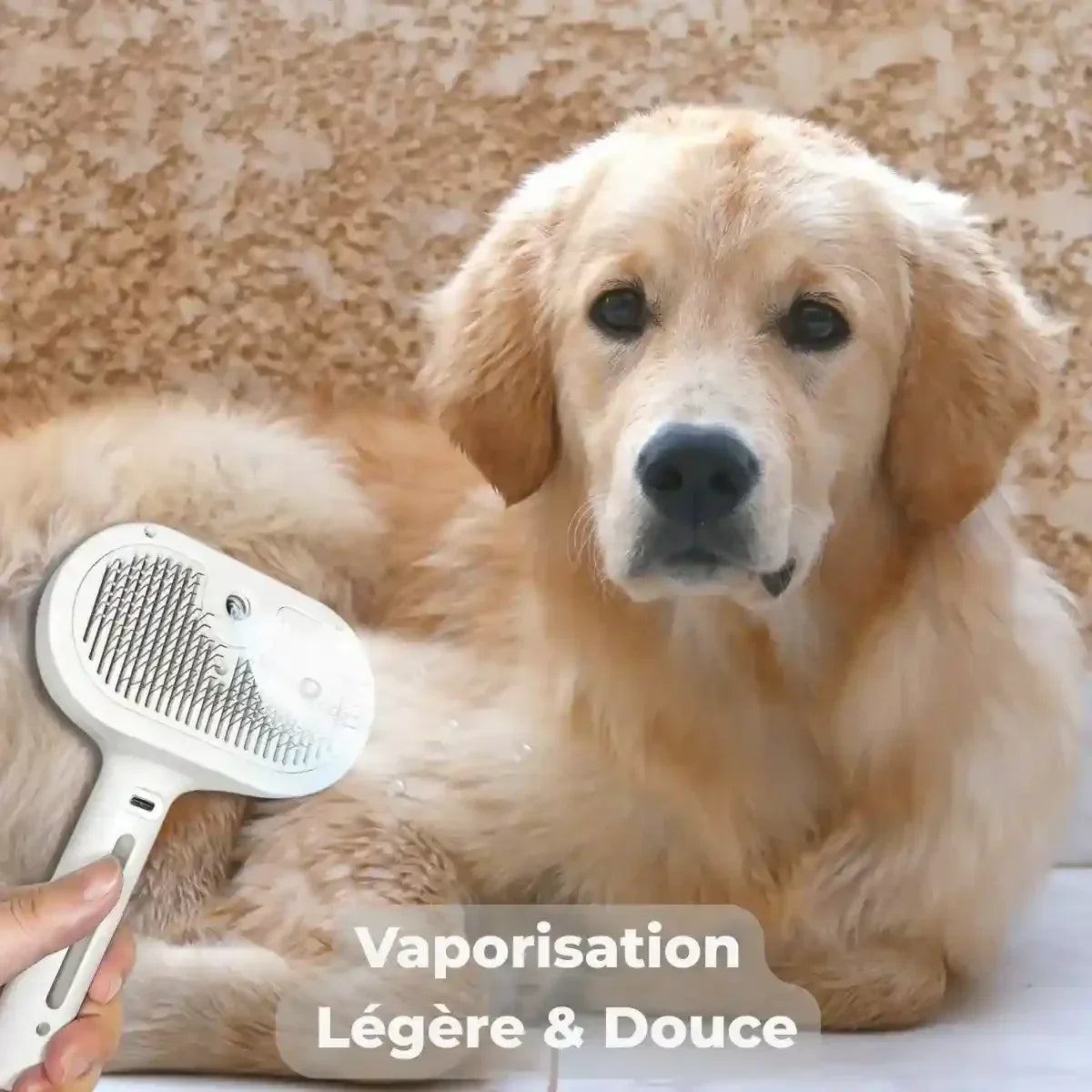 Brosse vapeur pour chien à vaporisation légère et douce