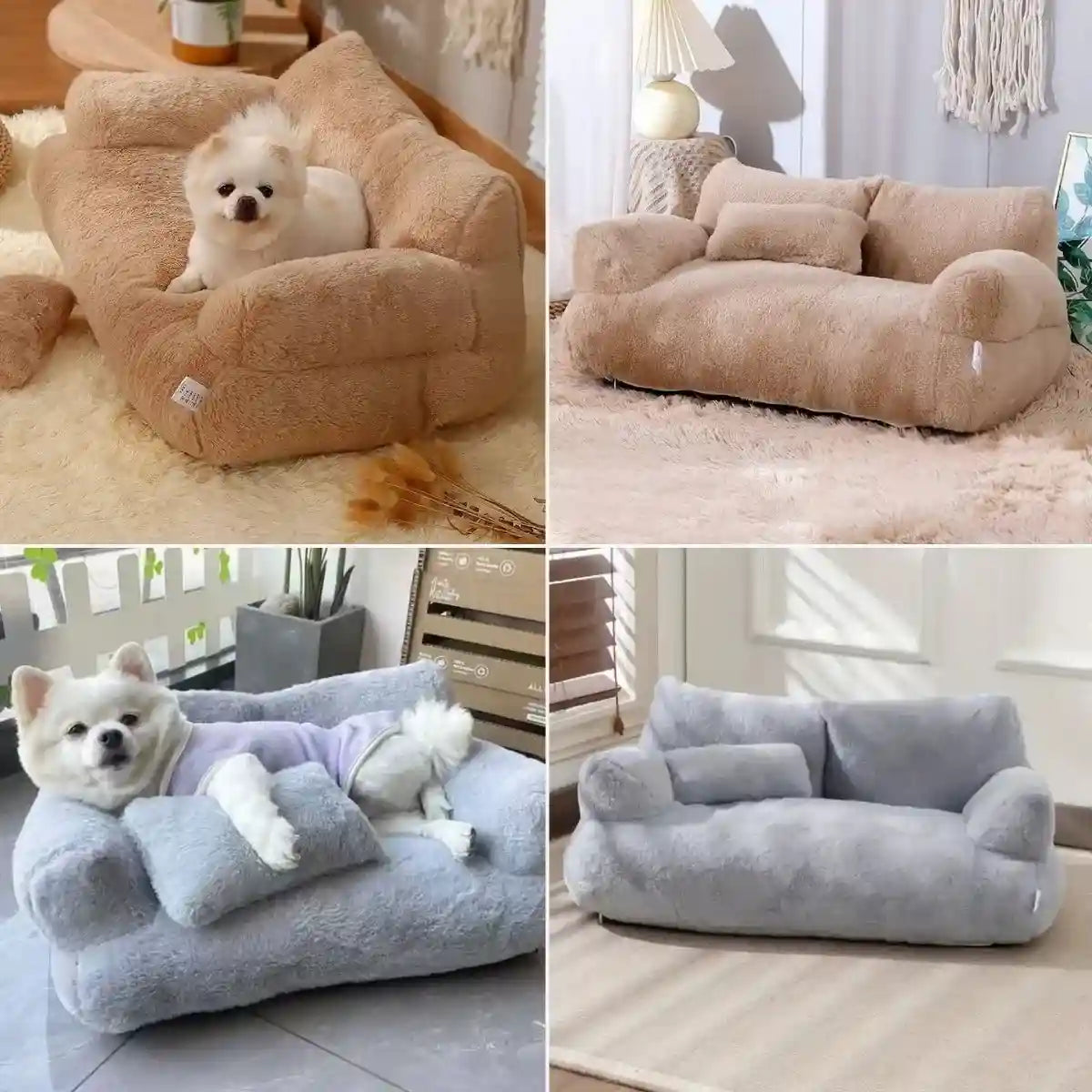 Canapé pour petit chien comparatif couleurs