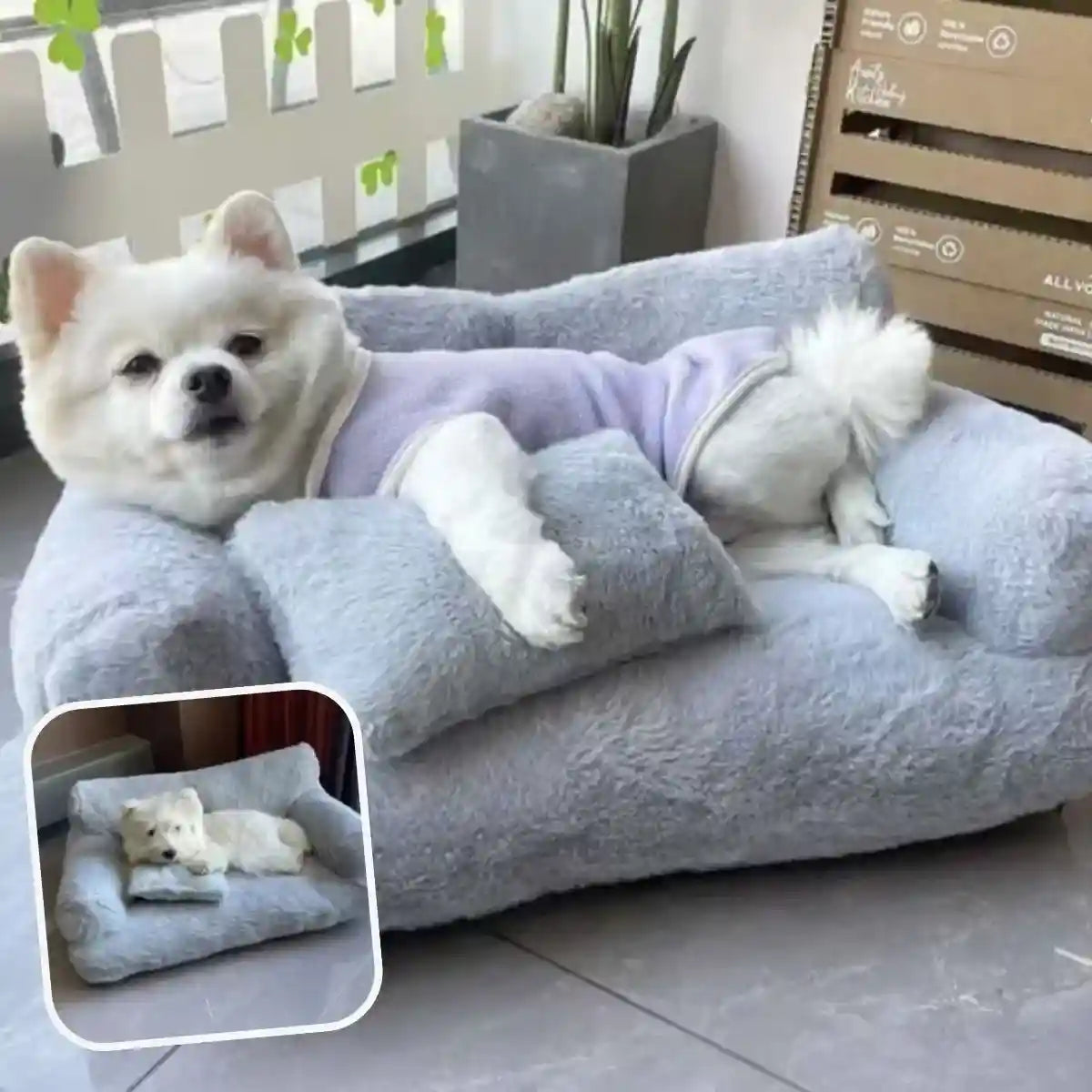 Canapé pour chien gris clair