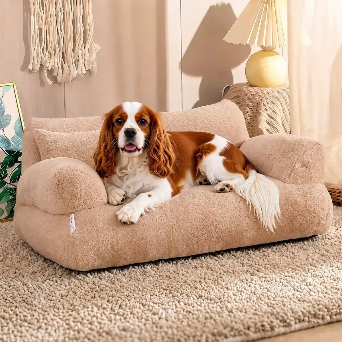 Canapé pour chien marron MiniCanap™ avec Cavalier King Charles allongé