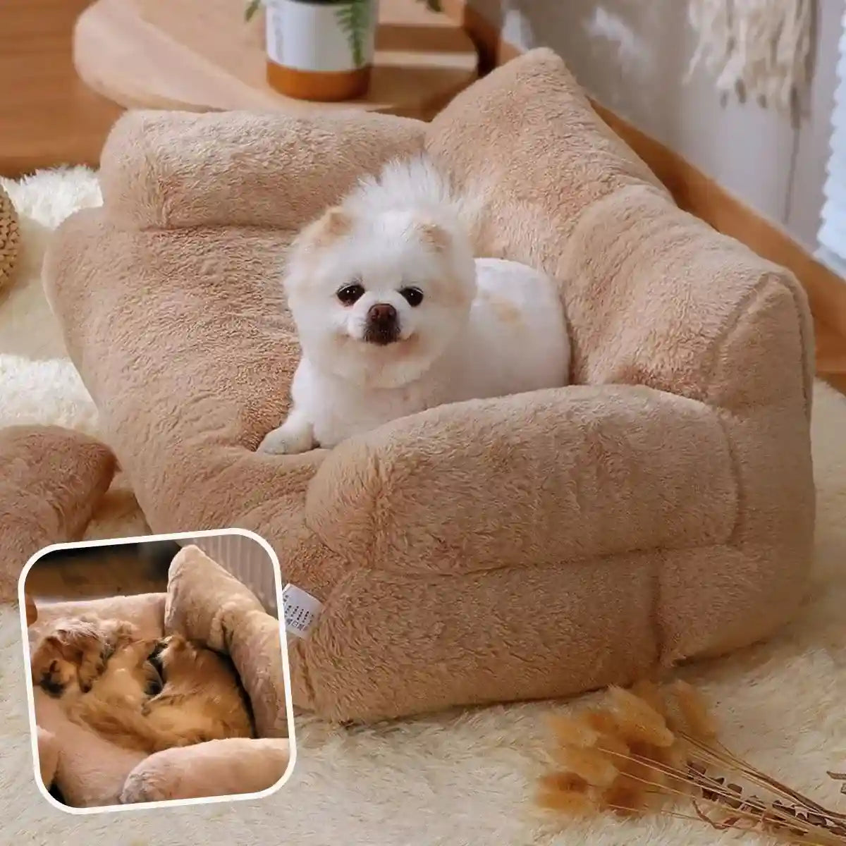 Canapé pour chien moka avec chien