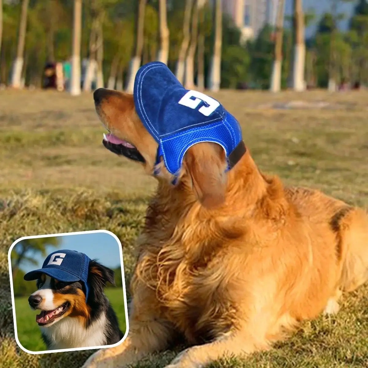 Casquette pour chien bleue, protection UV, respirante et ajustable