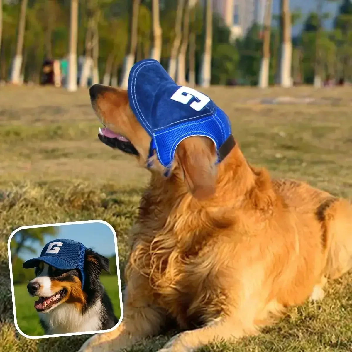 Casquette pour chien bleue, protection UV, respirante et ajustable