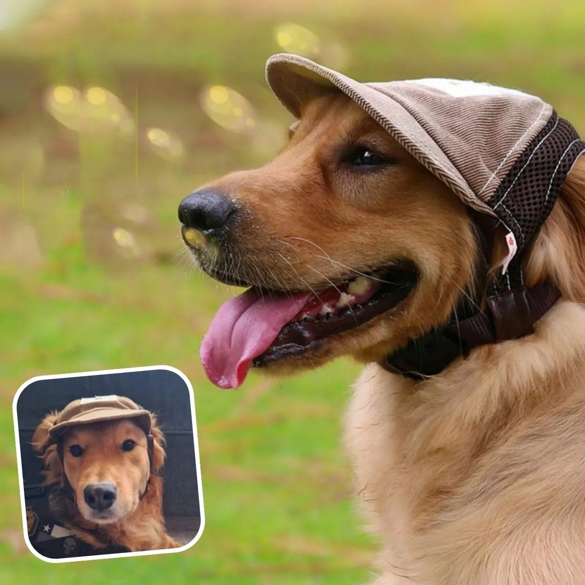 Casquette pour chien marron taille L