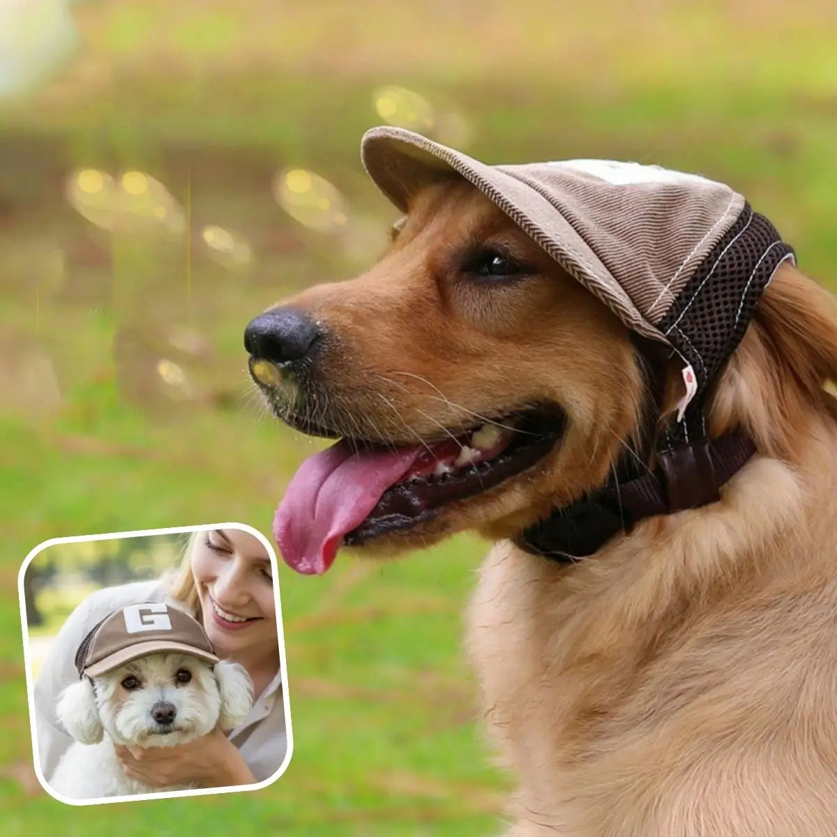 Casquette pour chien marron pour chiots, petits chiens, moyens et grands chiens