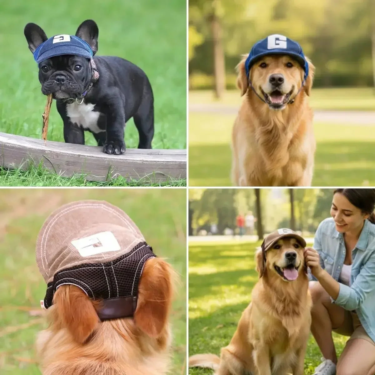 Casquette pour chien bleue et marron portée par différents chiens