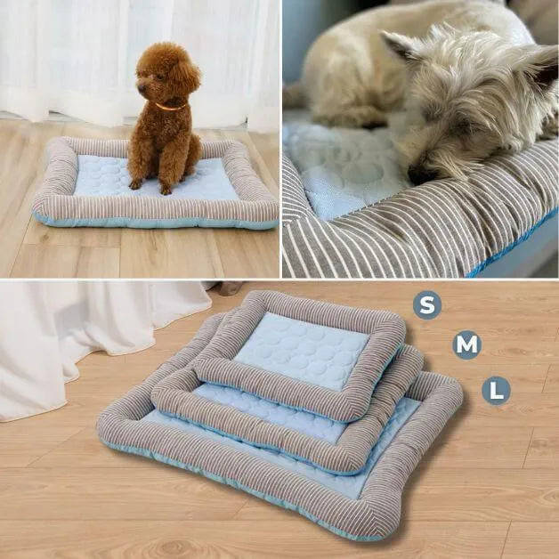 chien-tapis-rafraichissant-bleu