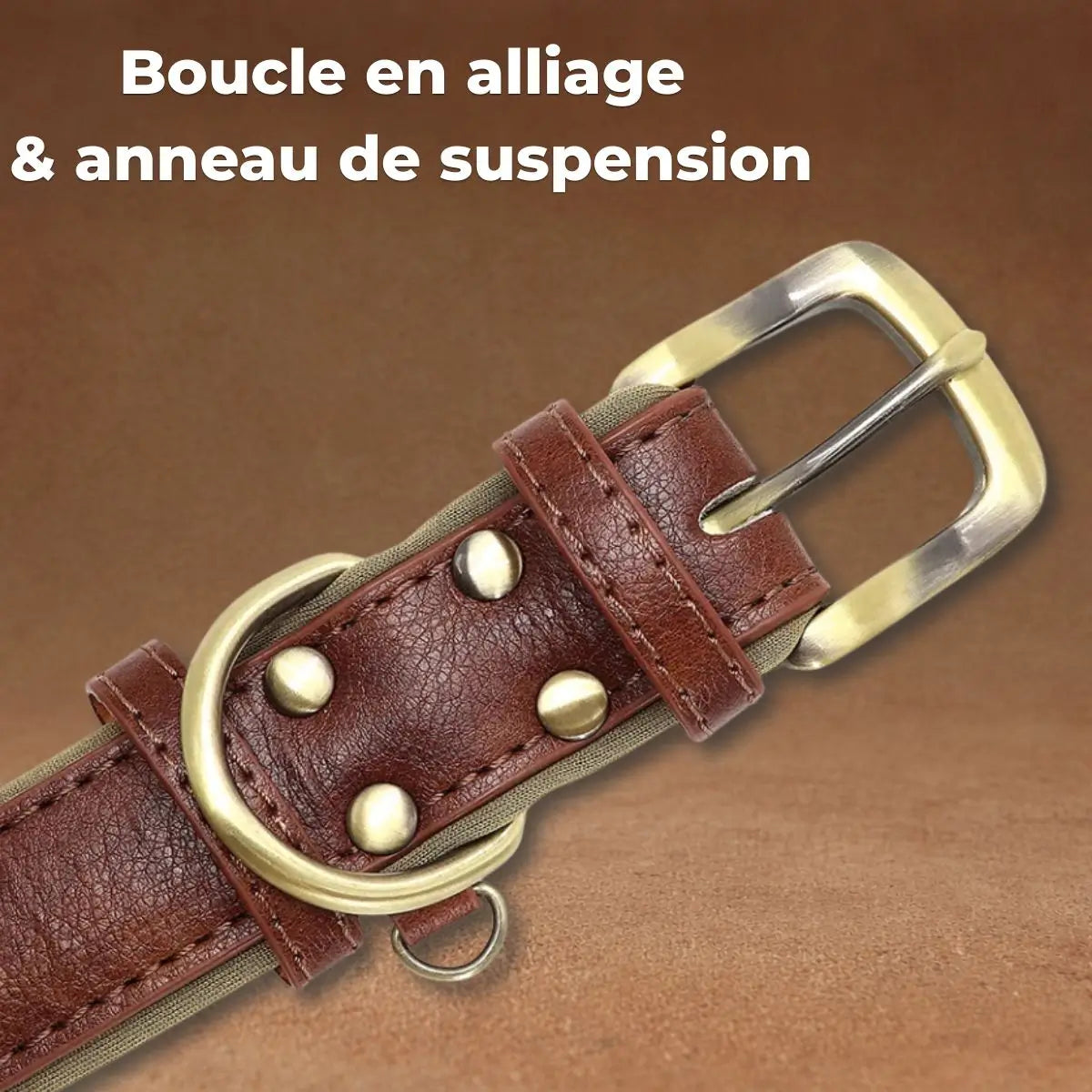 Gros plan sur la boucle en alliage et l'anneau de suspension du collier pour chien personnalisé Aélyo™.
