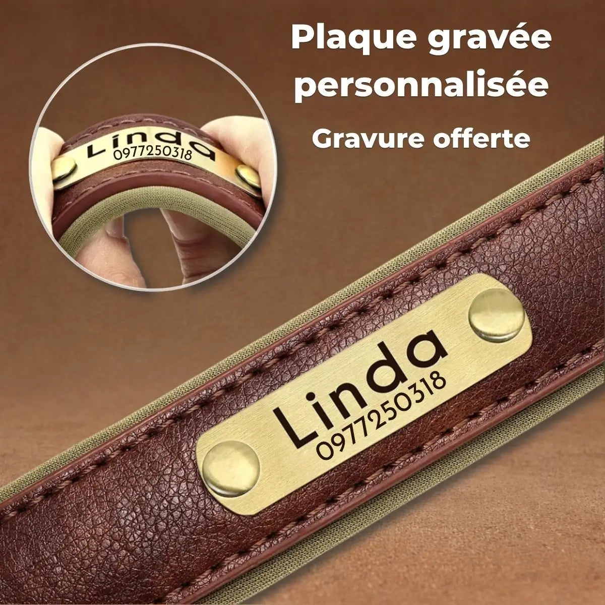 Zoom sur la plaque d'identification gravée et la souplesse du collier pour chien personnalisé Aélyo™.