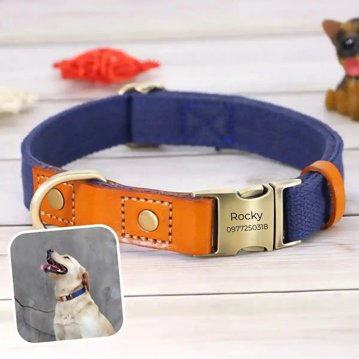 collier chien personnalisé bleu