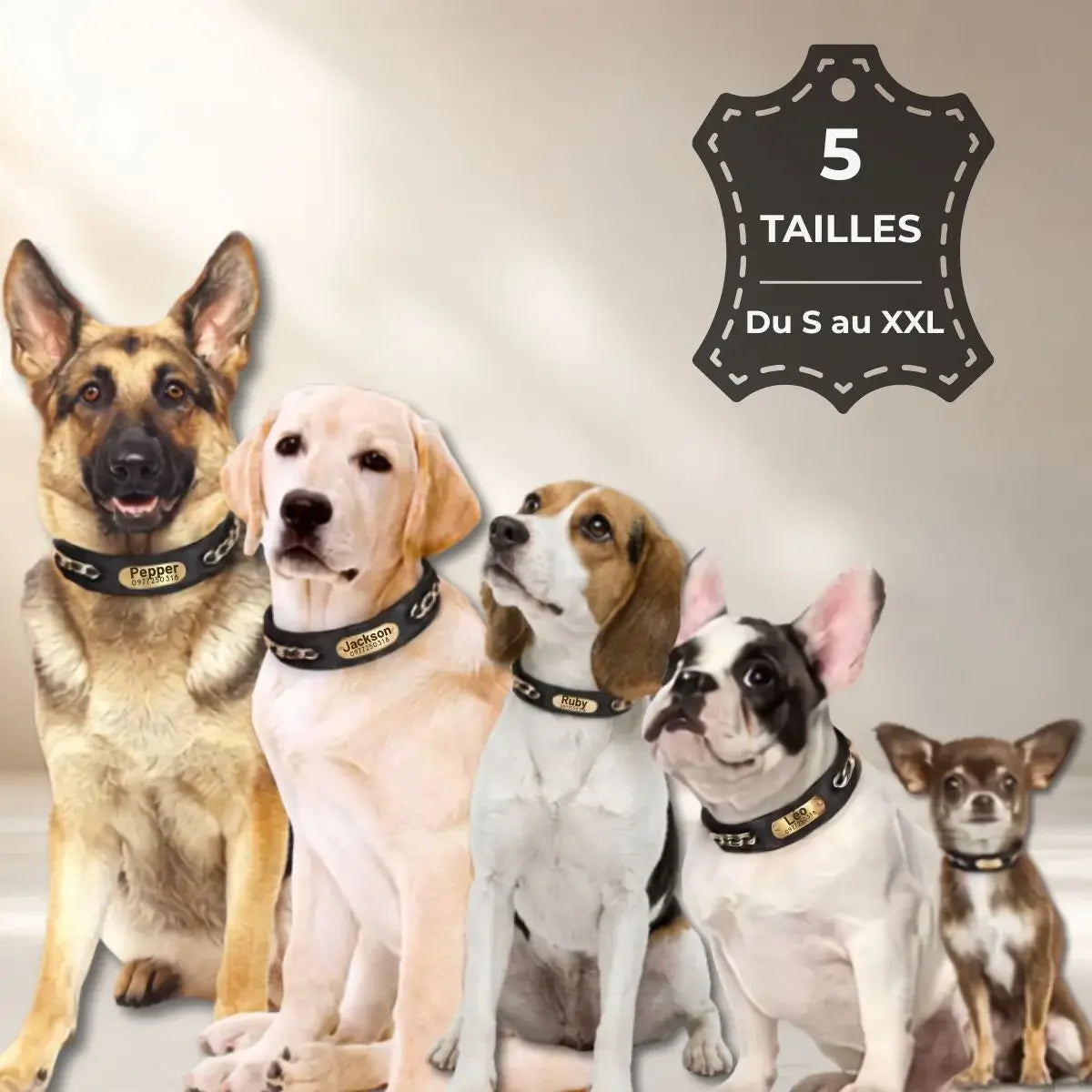 Collier pour chien personnalisable disponible en cinq tailles, du S au XXL