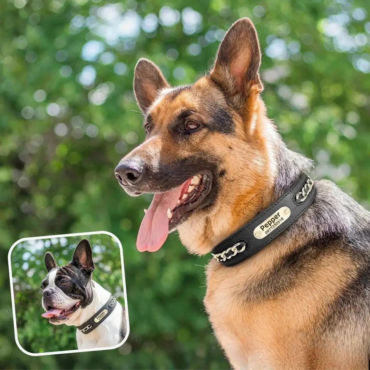 Collier chien personnalisé noir OrGo™ pour petit et grand chien