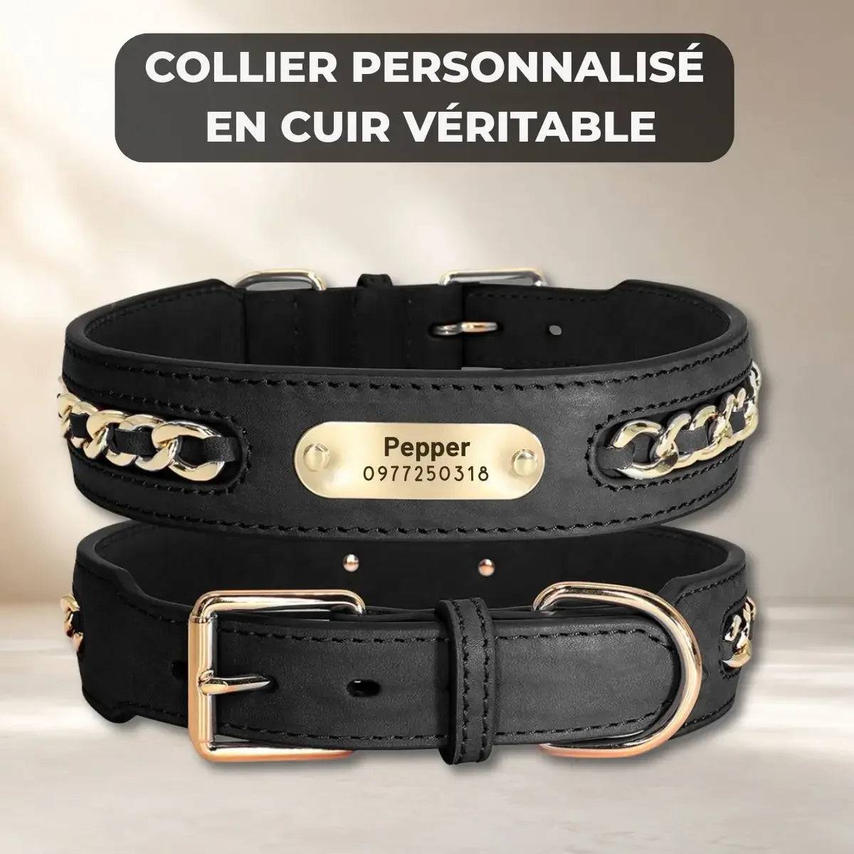 Collier pour chien personnalisé en cuir véritable avec plaque et maillons dorés