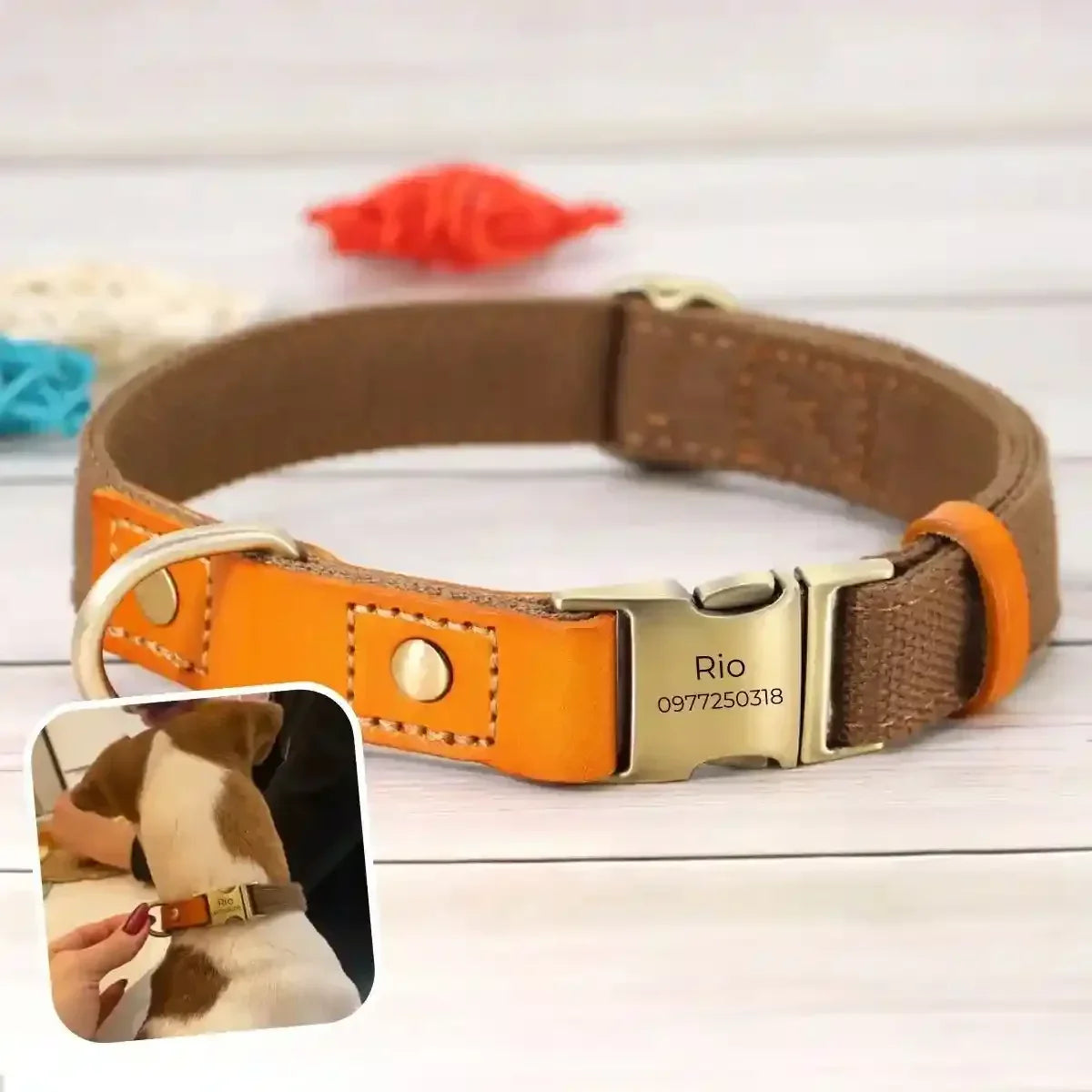 collier chien personnalisé marron