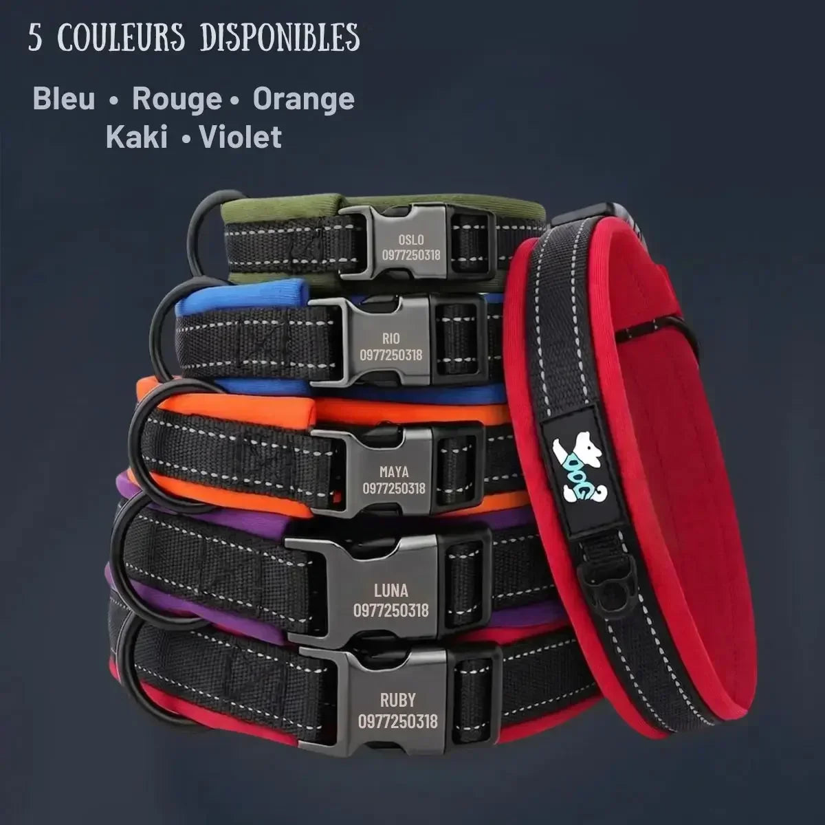 Collier chien personnalisé réfléchissant Lumyna™ disponible en bleu, rouge, orange, kaki et violet