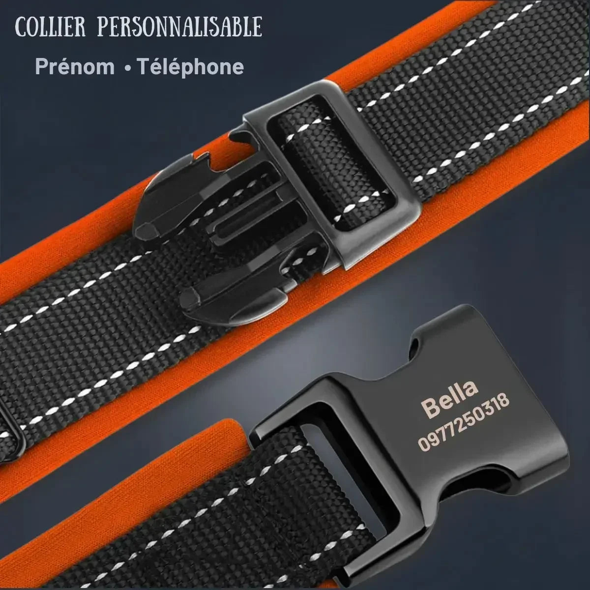 Gravure personnalisée avec prénom et téléphone sur la boucle du collier chien Lumyna™