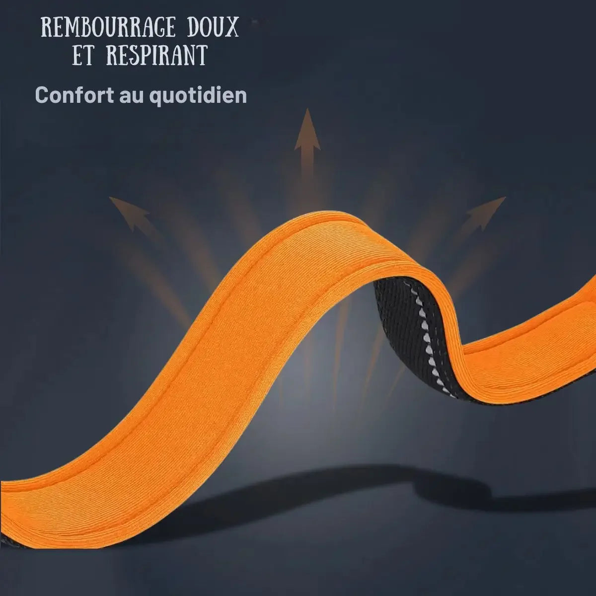Rembourrage doux et respirant du collier chien personnalisé réfléchissant Lumyna™