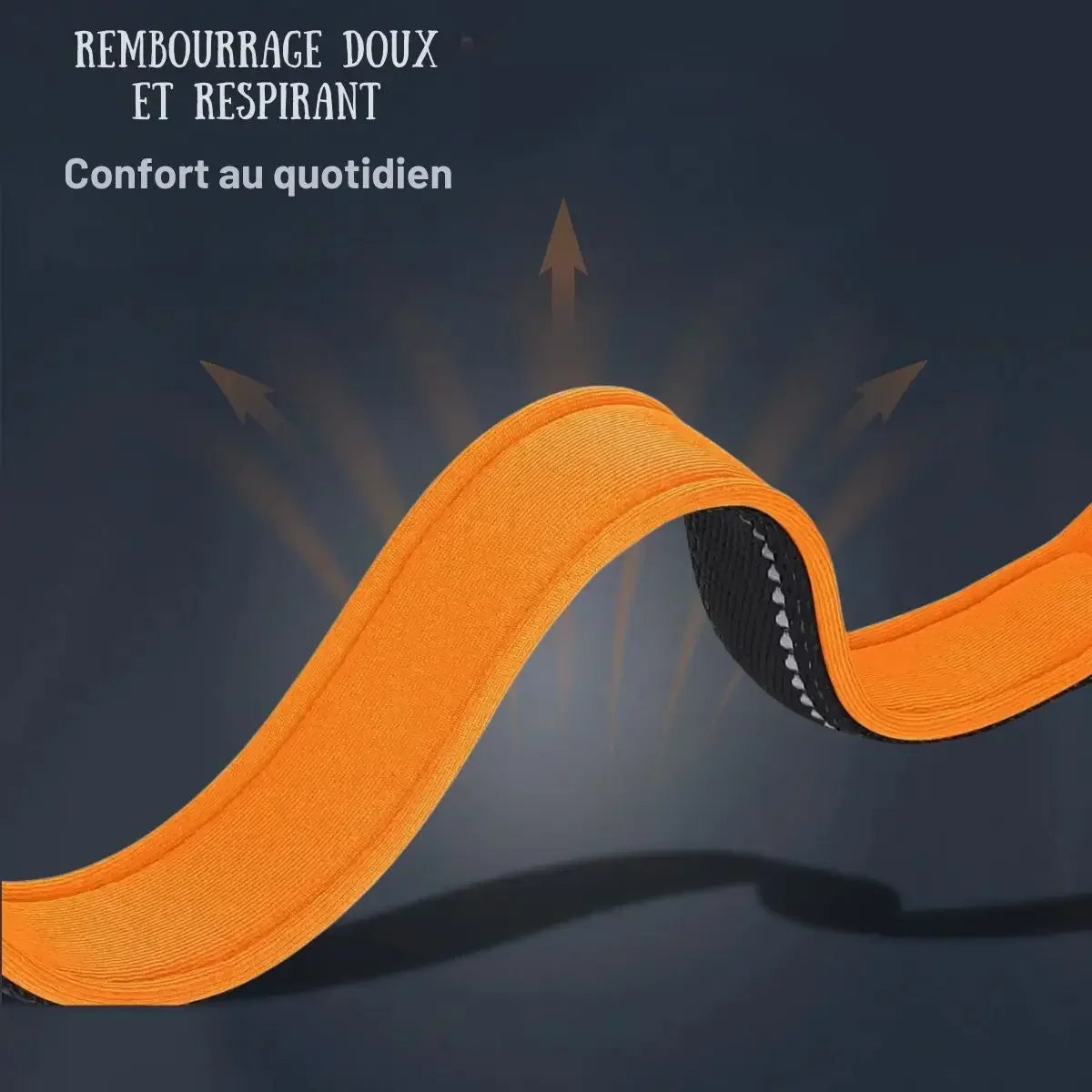 Rembourrage doux et respirant du collier chien personnalisé réfléchissant Lumyna™