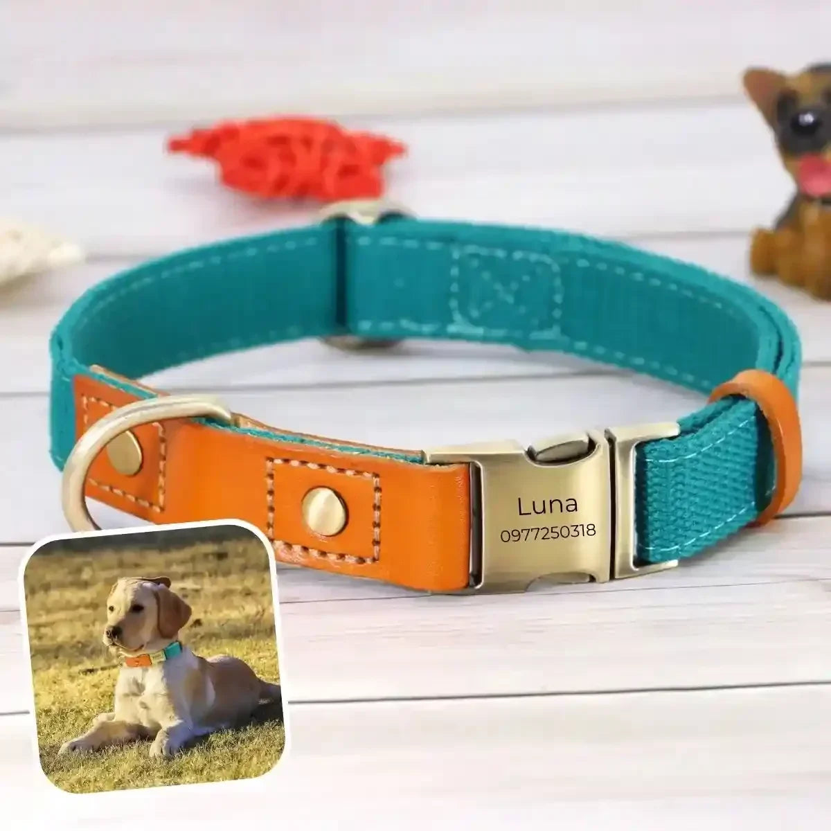 collier chien personnalisé turquoise