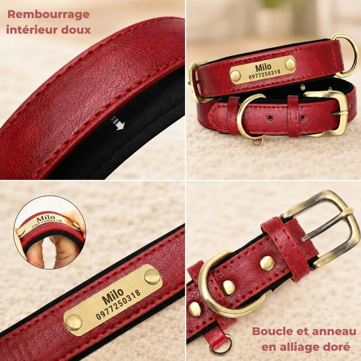 Détails du collier chiot personnalisé TinyID avec rembourrage intérieur, plaque gravée et boucle dorée