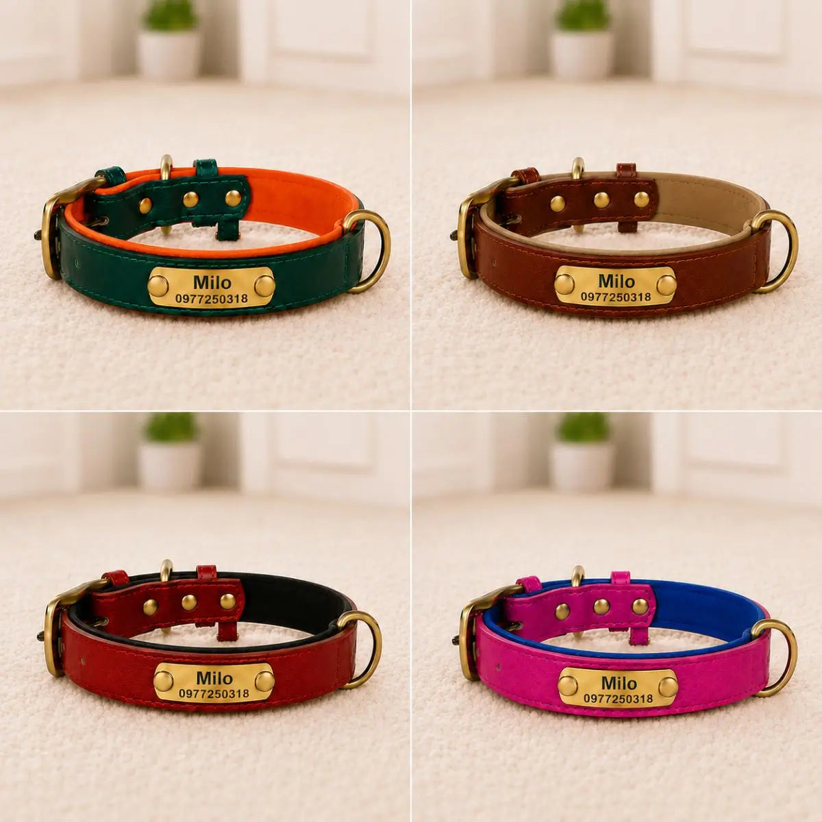 Le collier pour chiot personnalisé TinyID existe en quatre coloris : vert, marron, rouge et fuchsia
