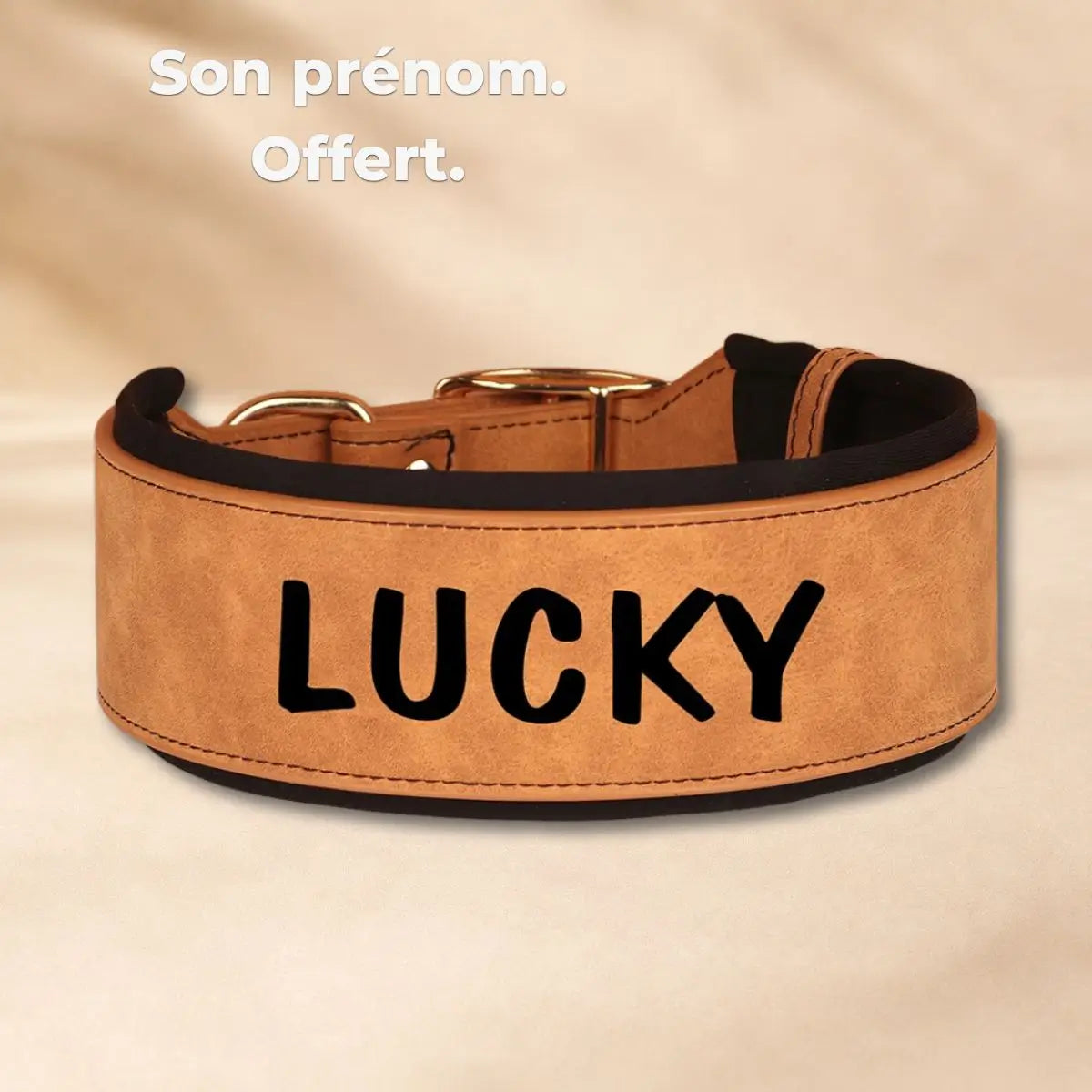 Personnalisation du collier large pour chien Signa™ - impression du prénom en grandes lettres noires ou blanches