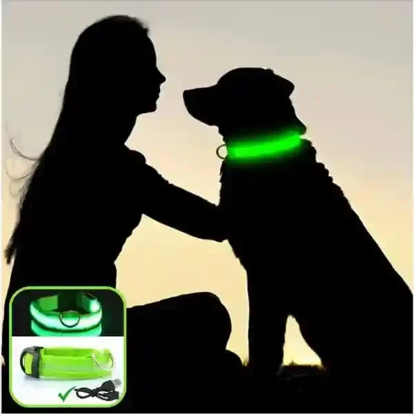 collier-lumineux-chien-vert