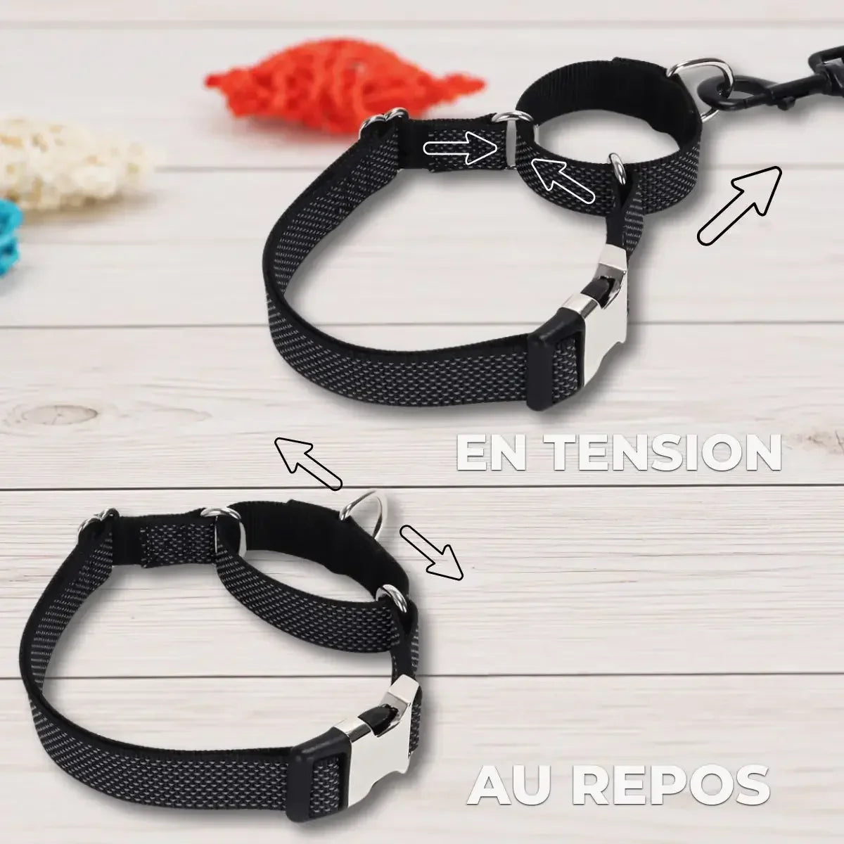 Système martingale du collier pour chien personnalisé Orion en tension et au repos