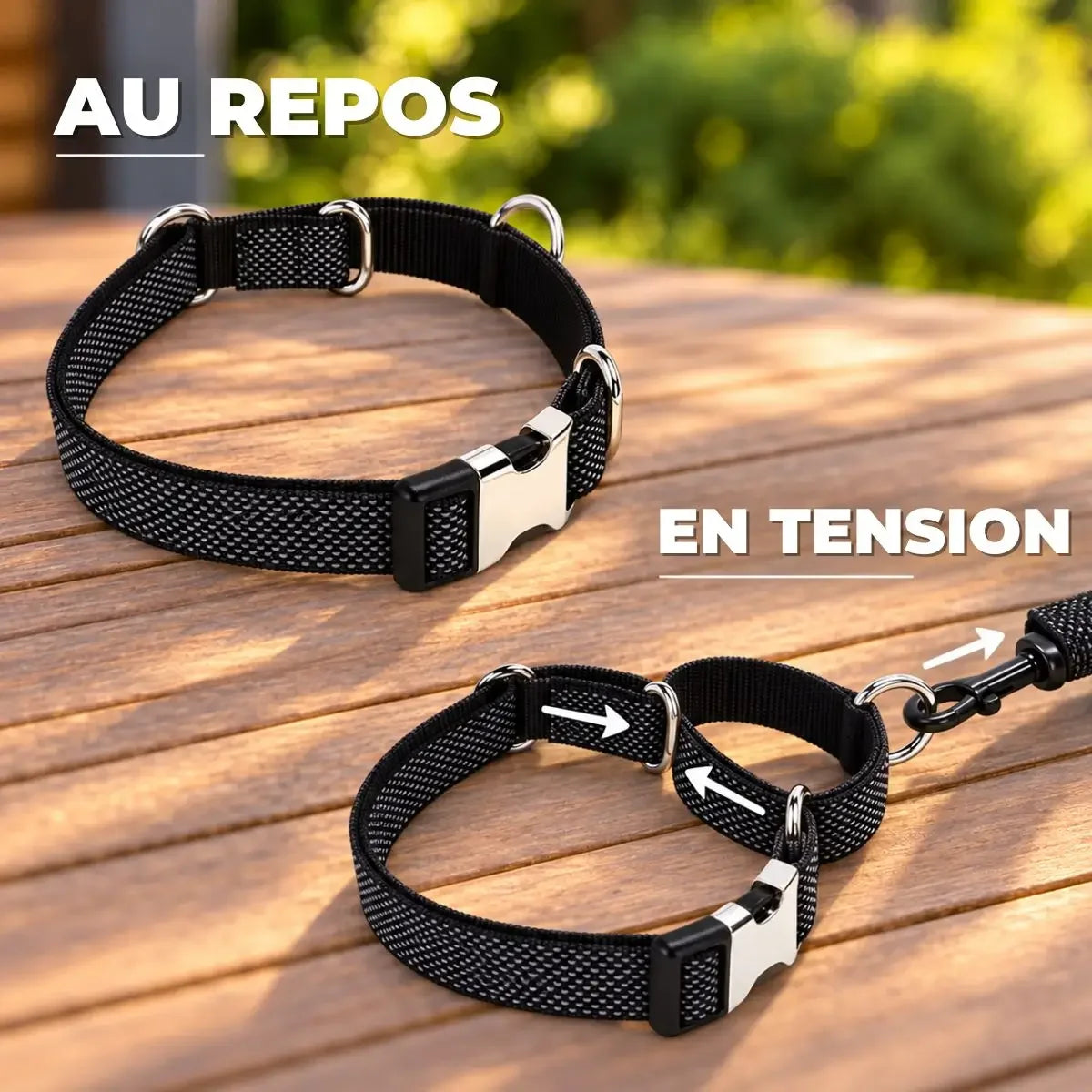 Système martingale au repos et en tension du collier pour chien personnalisé Orion™