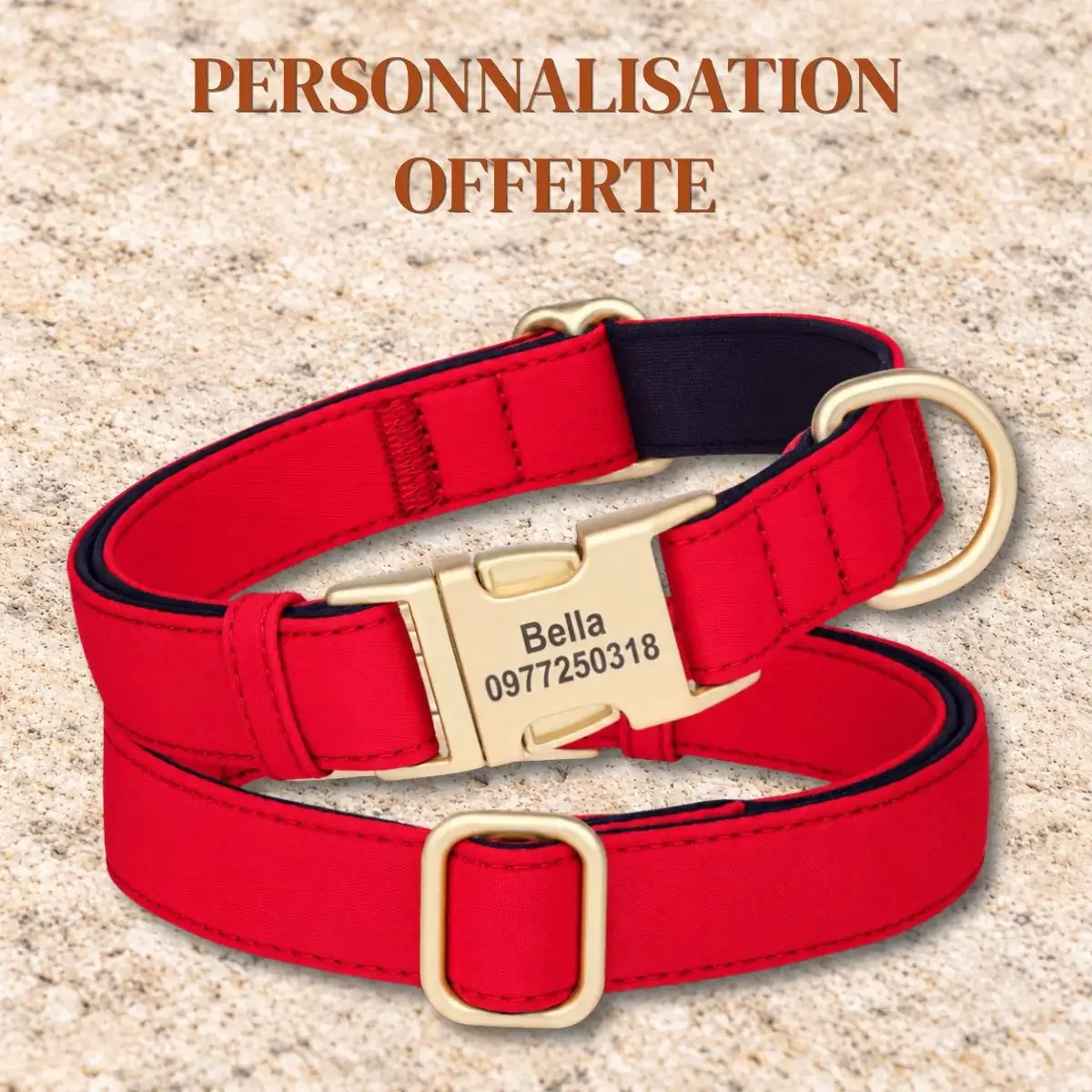 Collier pour chien personnalisé AquaID™ rouge avec prénom et téléphone gravés sur la boucle dorée, gravure offerte