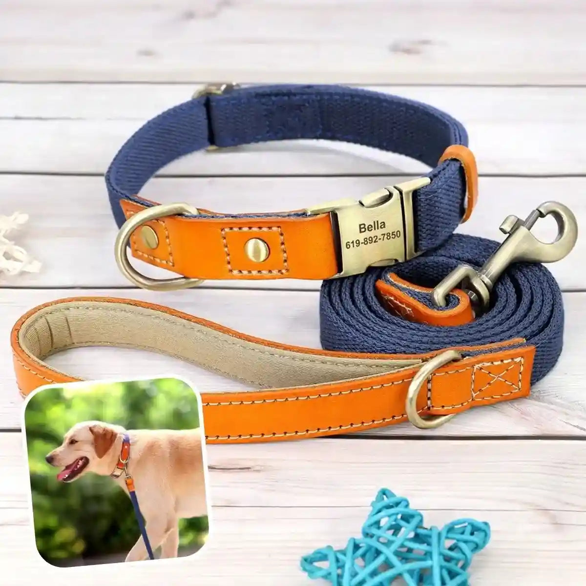 collier pour chien personnalisé bleu