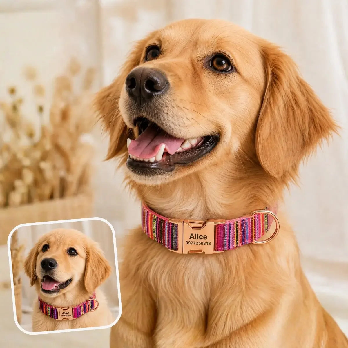 Collier pour chien personnalisé bohème Kalyoa magenta porté par un chien adulte et un chiot