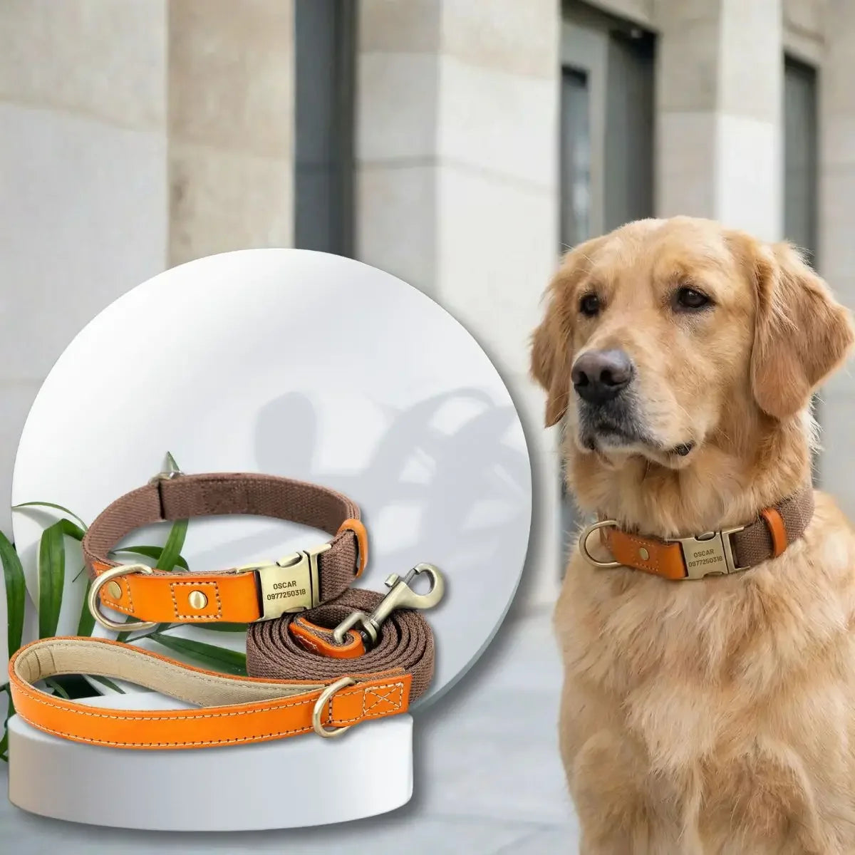 Collier pour chien personnalisé Stylish™ avec laisse assortie - marron