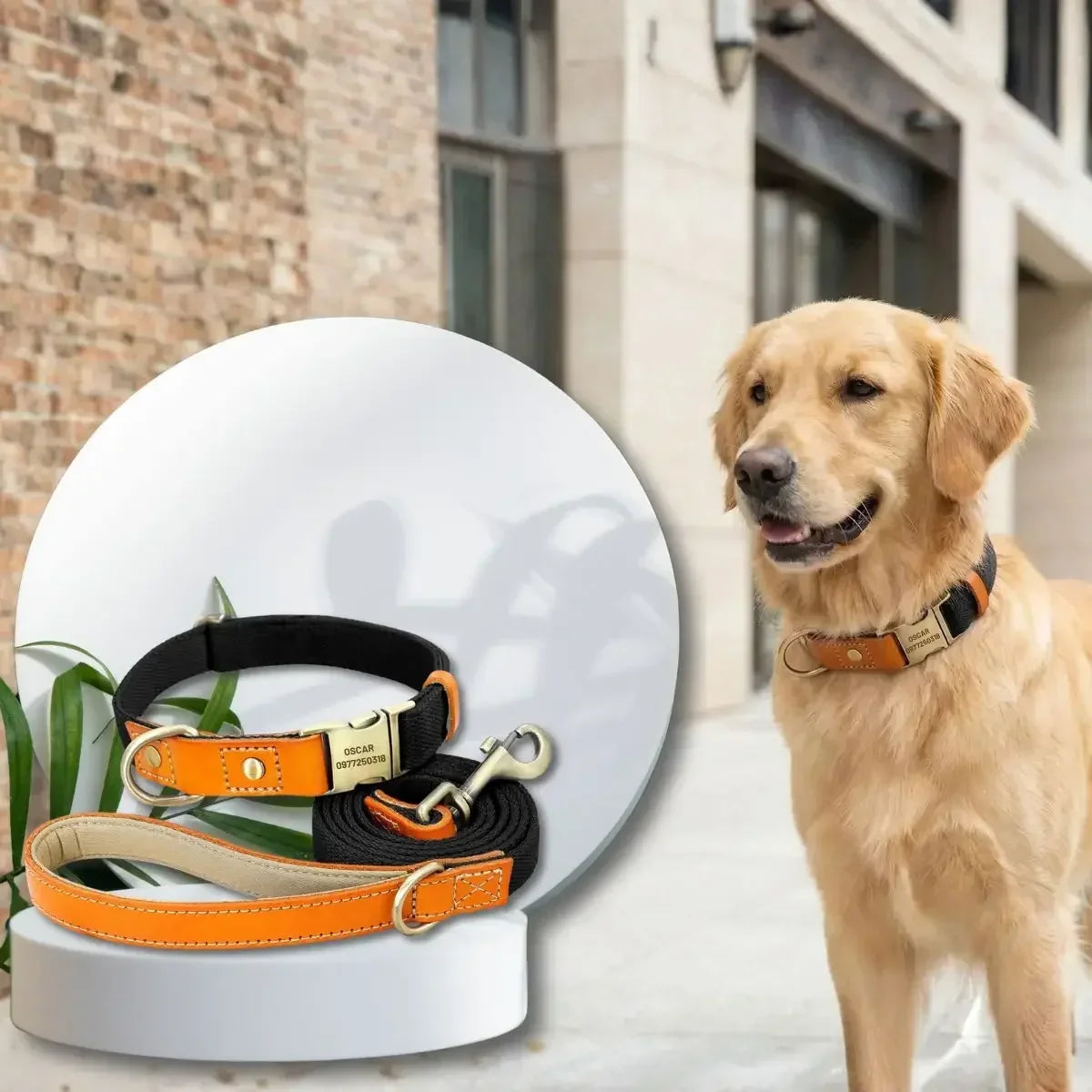 Pack collier pour chien personnalisé Stylish avec laisse assortie - noir
