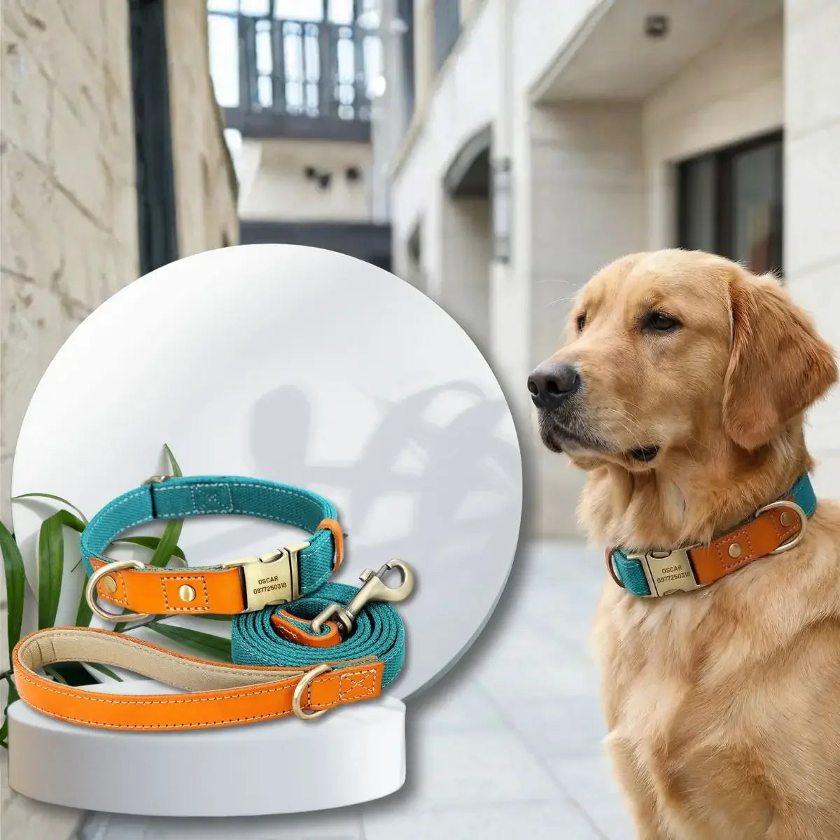 Duo collier pour chien personnalisé Stylish avec laisse assortie - turquoise