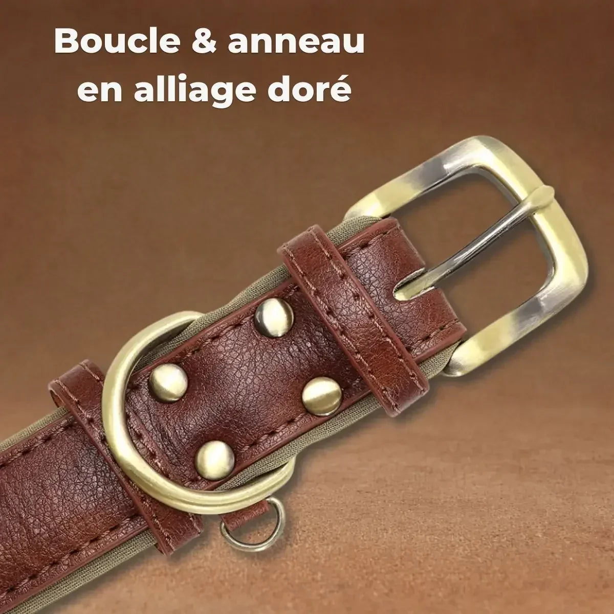 Boucle et anneaux en alliage doré du collier pour chien personnalisé