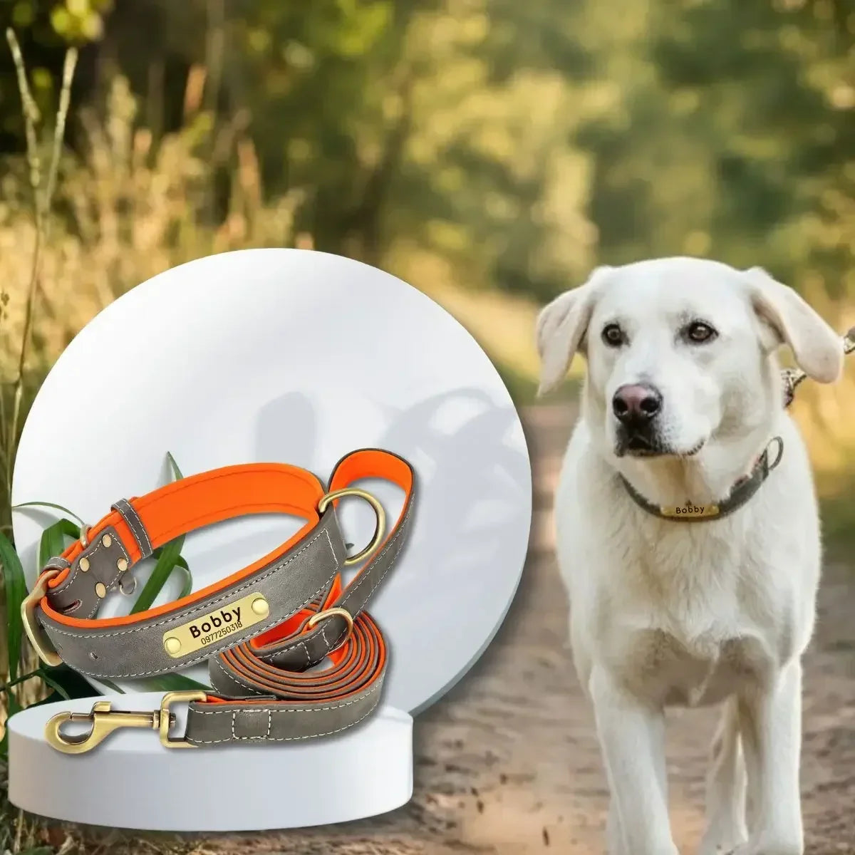 Duo collier pour chien personnalisé et laisse assortie gris présenté par un chien blanc